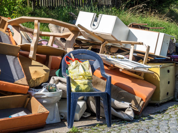 Best Professional Junk Removal  in Fairview, NC