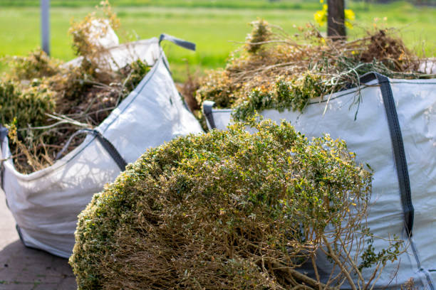 Best Construction Debris Removal  in Fairview, NC